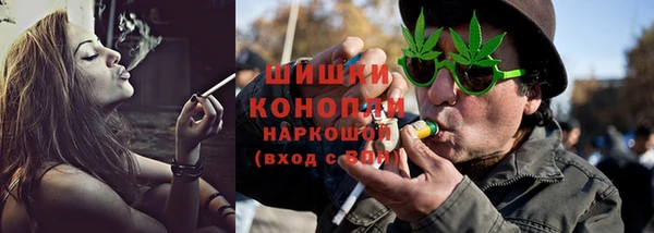 2c-b Ельня