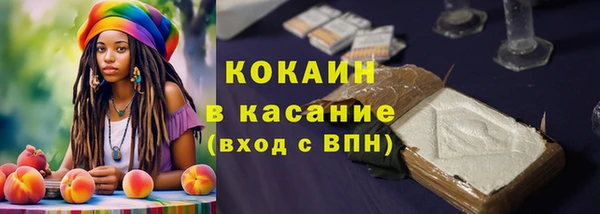 2c-b Ельня