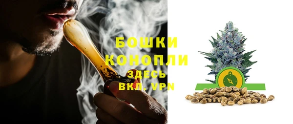 2c-b Ельня