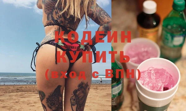 2c-b Ельня