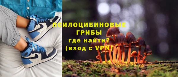 2c-b Ельня